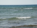 Western Michigan [2010] 875